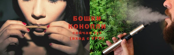 трава Горняк