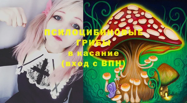 spice Горнозаводск