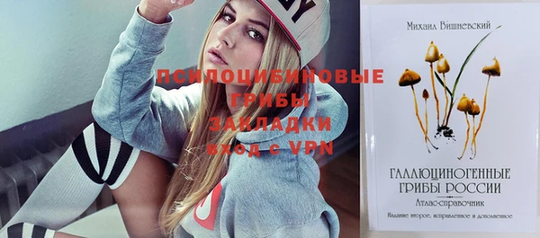 spice Горнозаводск