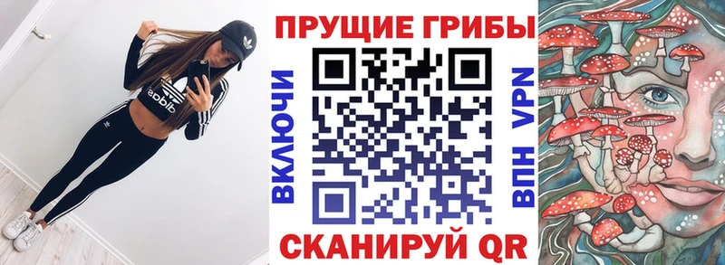 Псилоцибиновые грибы MAGIC MUSHROOMS  наркошоп  Магас 